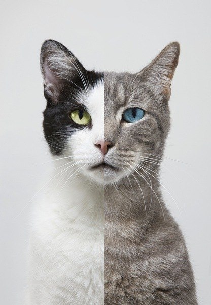 Стасян Марчук | Новосибирск