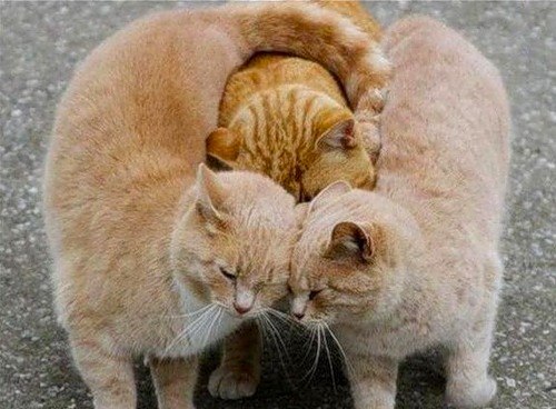 Сергей Иванов | Краснодар