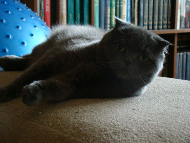 №64, Алёна Шустова, 39 лет, Екатеринбург №64, Алёна Шустова, 39 лет, Екатеринбург