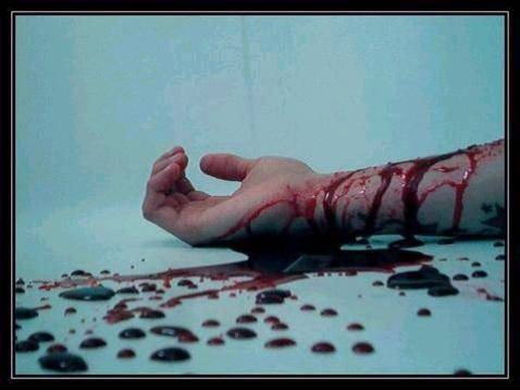 №12, Даша Рогова №12, Даша Рогова