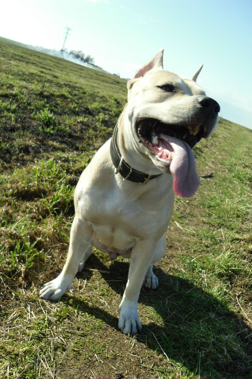 Олеся Правдухина | Санкт-Петербург