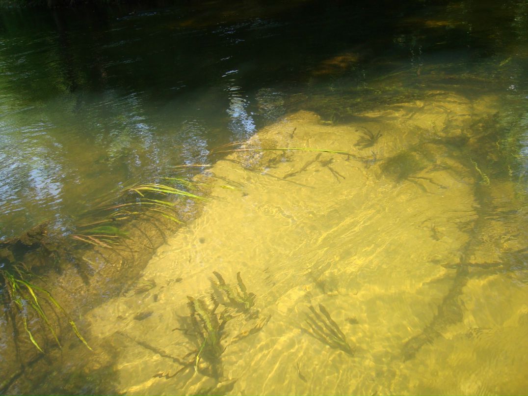 Анастасия Ермакова | Саратов