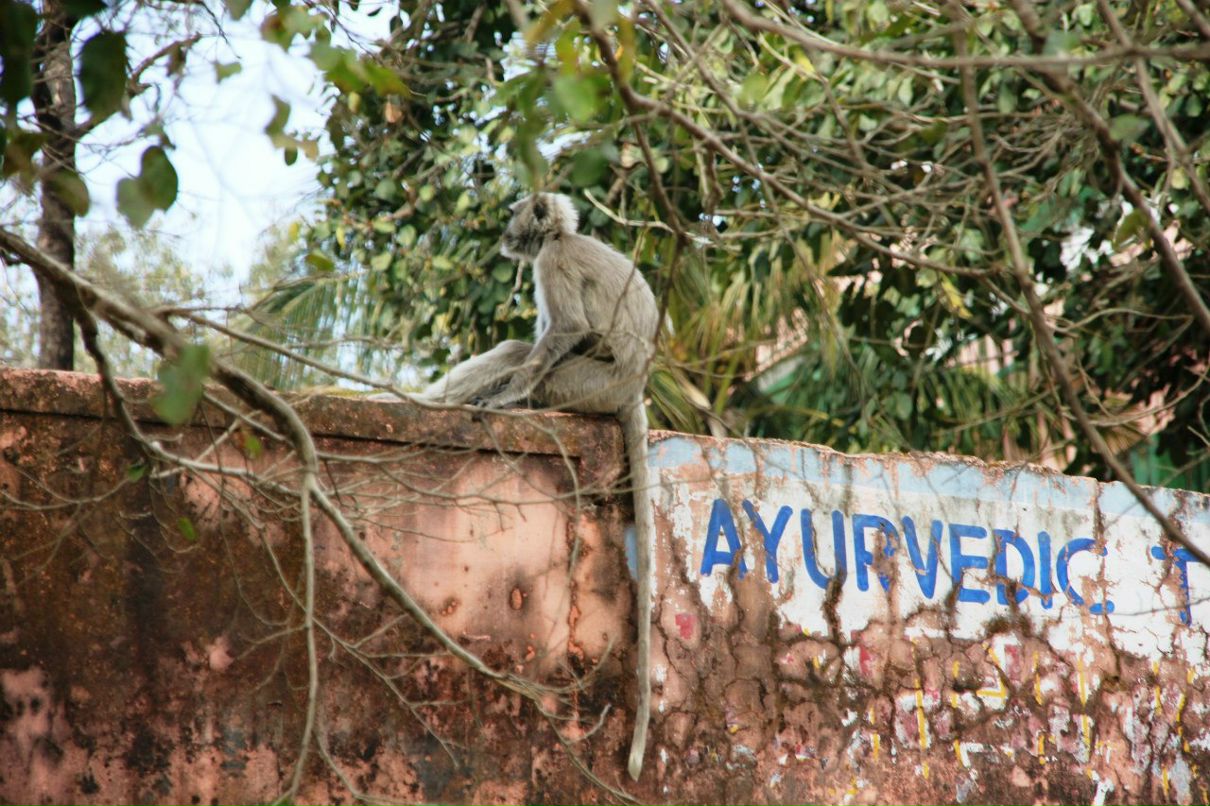 Yanusya Vorushylo | Сумы