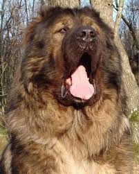 Иван Ветер | Челябинск