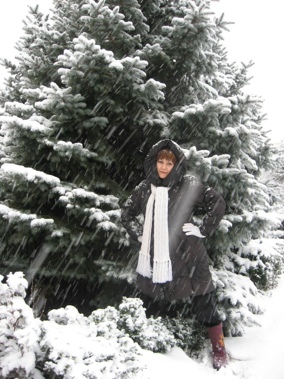 Елена Астаповская | Волгоград