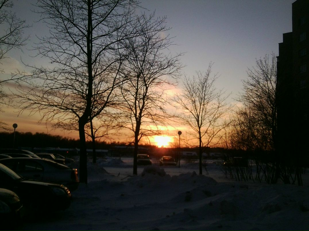 Мария Рязанова | Черноголовка