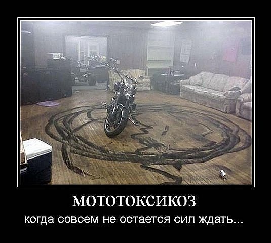 Елена Шевченко | Вышгород