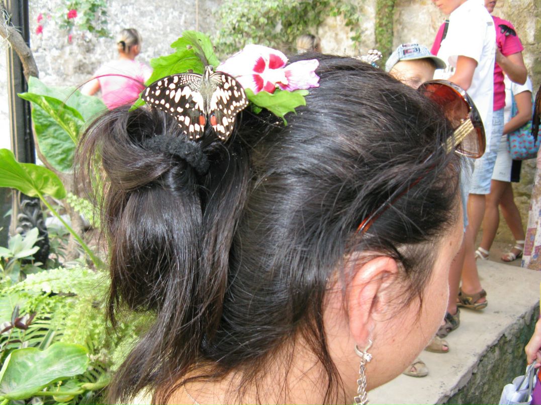 Оленка Веклюк | 