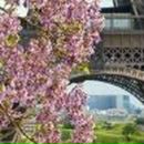 Анинка Анинка | Запорожье