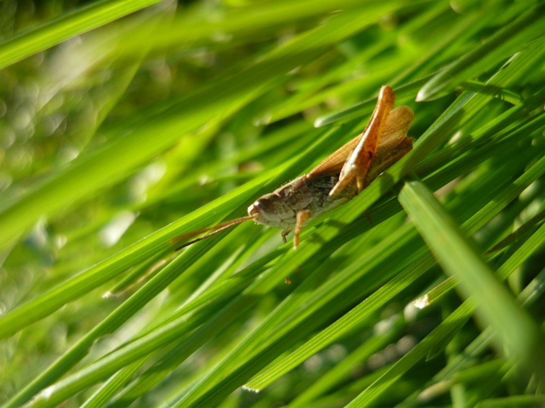Анна Рыбакова | Новосибирск