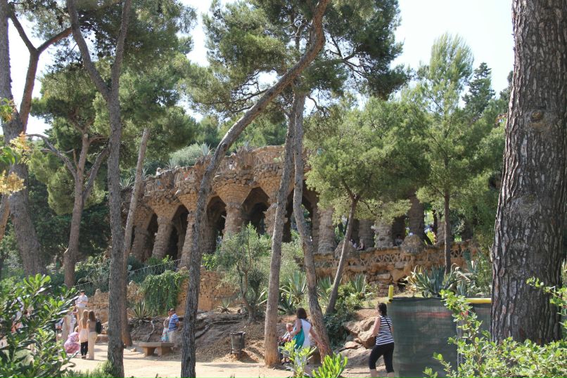 Сергей Васильев | Калининград