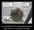 Фотография Светлана Арбузова