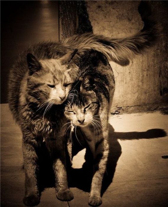 Дима Рябчевский | Киев