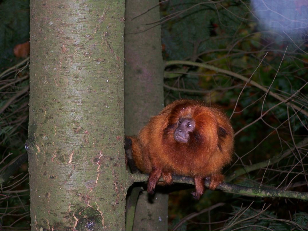 Инга Малярчук | Днепр (Днепропетровск)