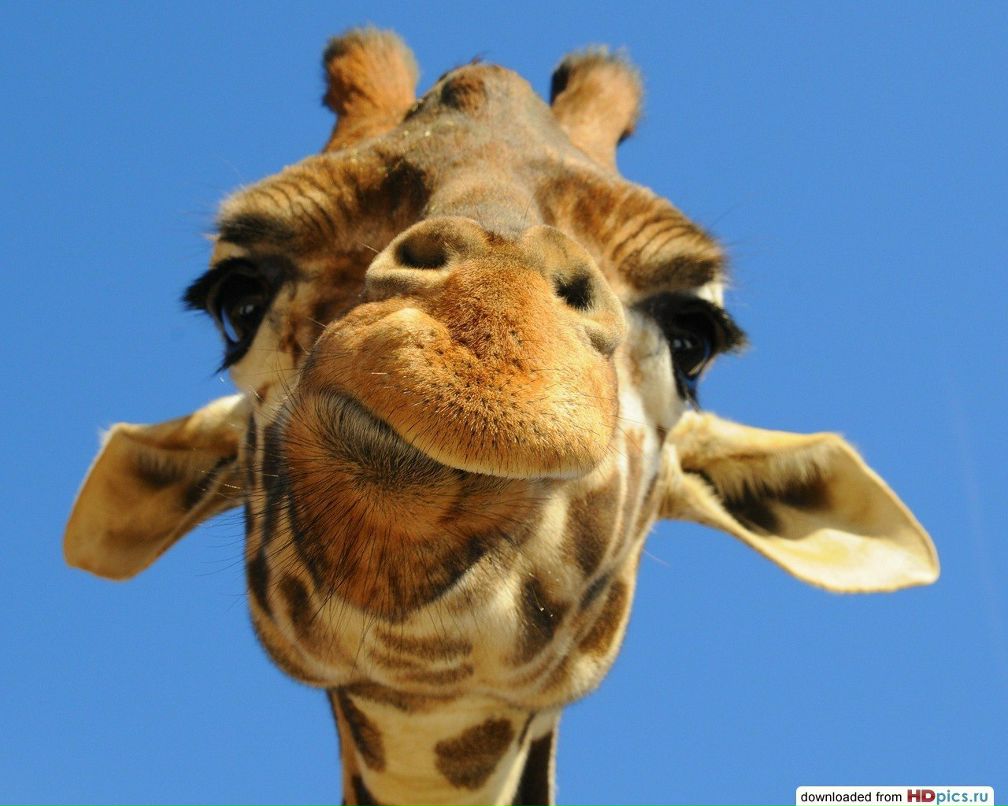 Яна Трубанова Андреевна | Пенза