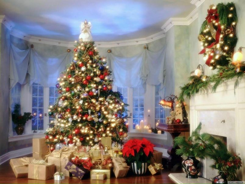 №50, Юлия Дробот, Петрозаводск №50, Юлия Дробот, Петрозаводск