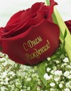 №25 Саша Посельский