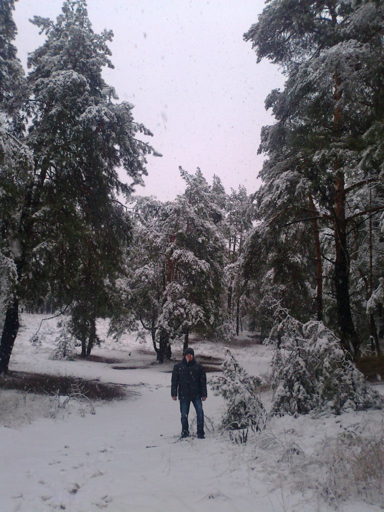 Сергей Холодов | 