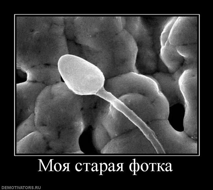 Алексей Черпаков Alt. | Минск