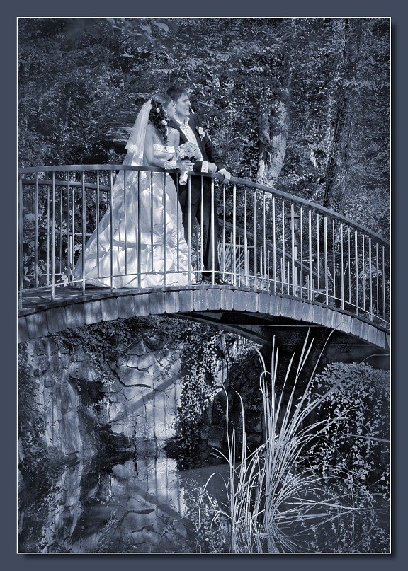 Андрей Токарев | Ростов-на-Дону