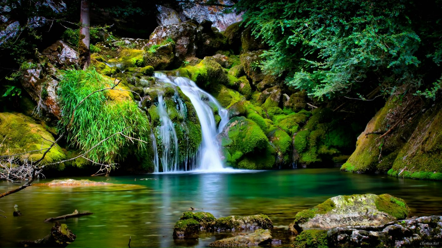 Надя Власенко | Киев