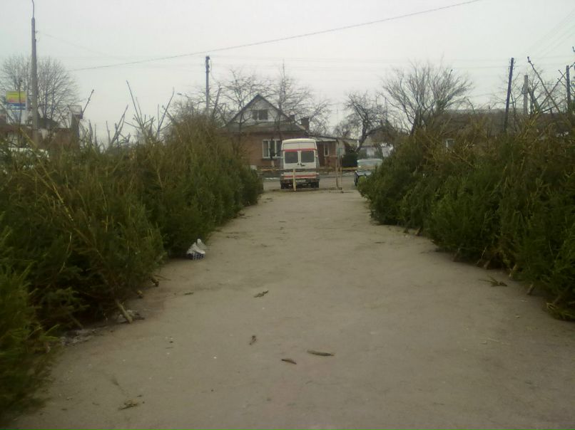 Олег Фірман | Владимир-Волынский