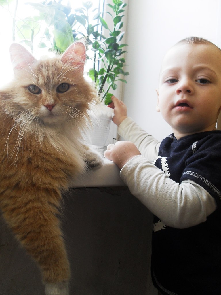 Маргарита Миллер | Лыткино