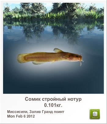 Александр Кузнецов | Чернигов