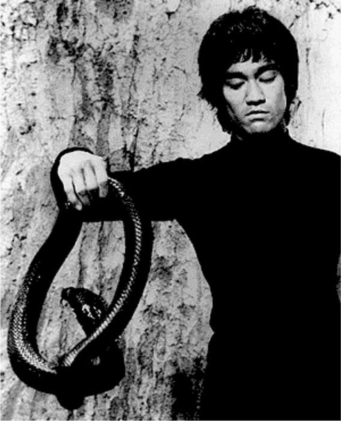 №149, Yevgeniy Veingardt №149, Yevgeniy Veingardt