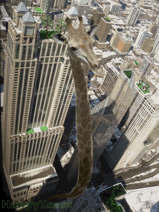 №150, Анастасия Переплетная, 36 лет, Киев №150, Анастасия Переплетная, 36 лет, Киев