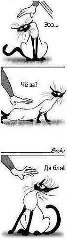 Ксения Пикуль [k&k] | Москва