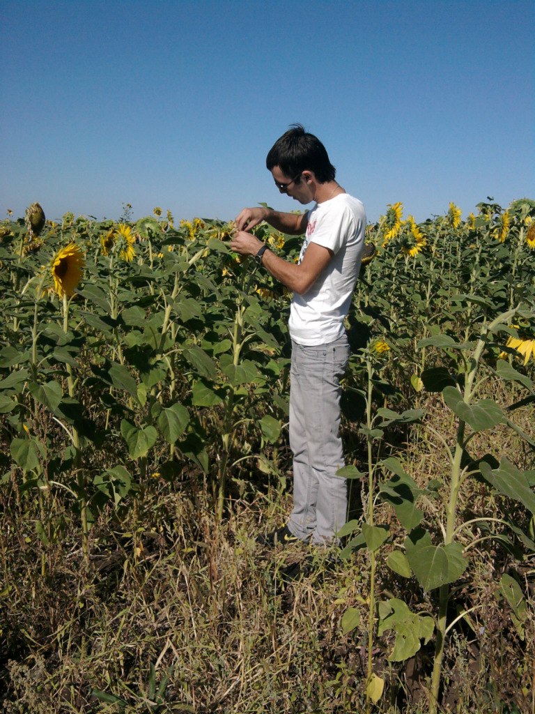 Тони Montana | Москва