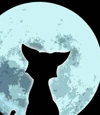 №133, Юлия Нестеренко, Барнаул №133, Юлия Нестеренко, Барнаул