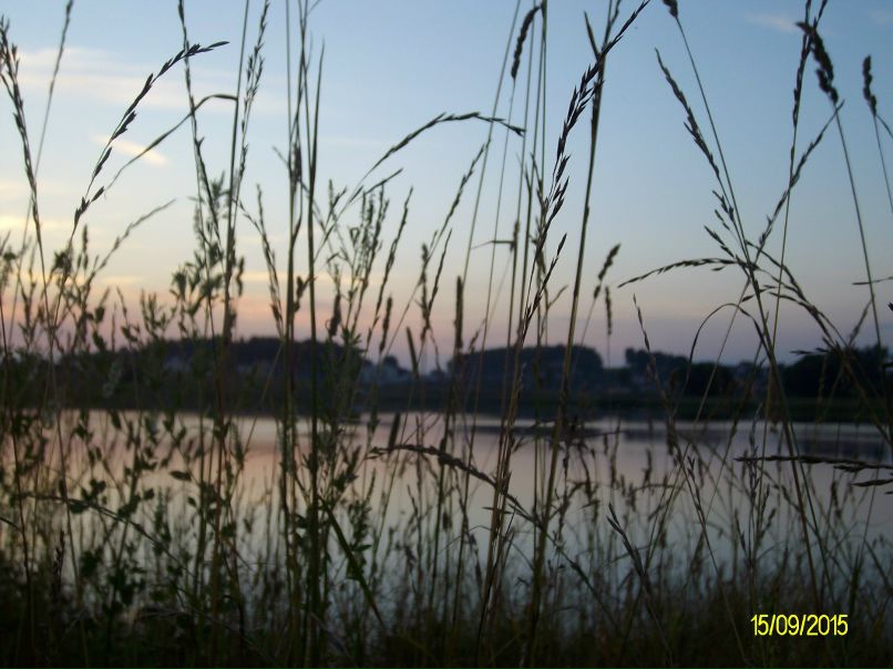 Олеся Катлинская | Минск