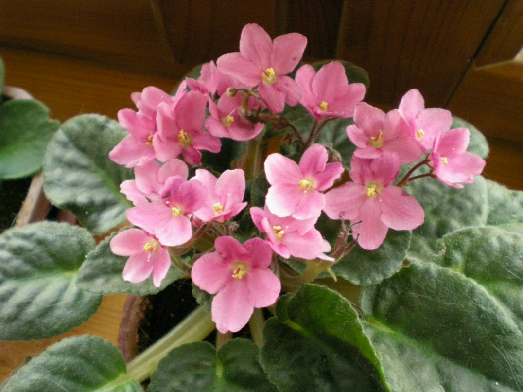 Ольга Коновалова | Челябинск