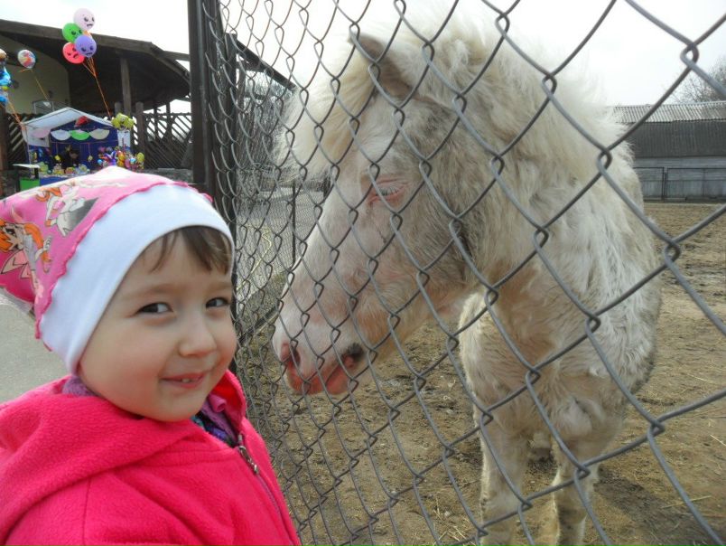 №11, Арман Сактаганов №11, Арман Сактаганов