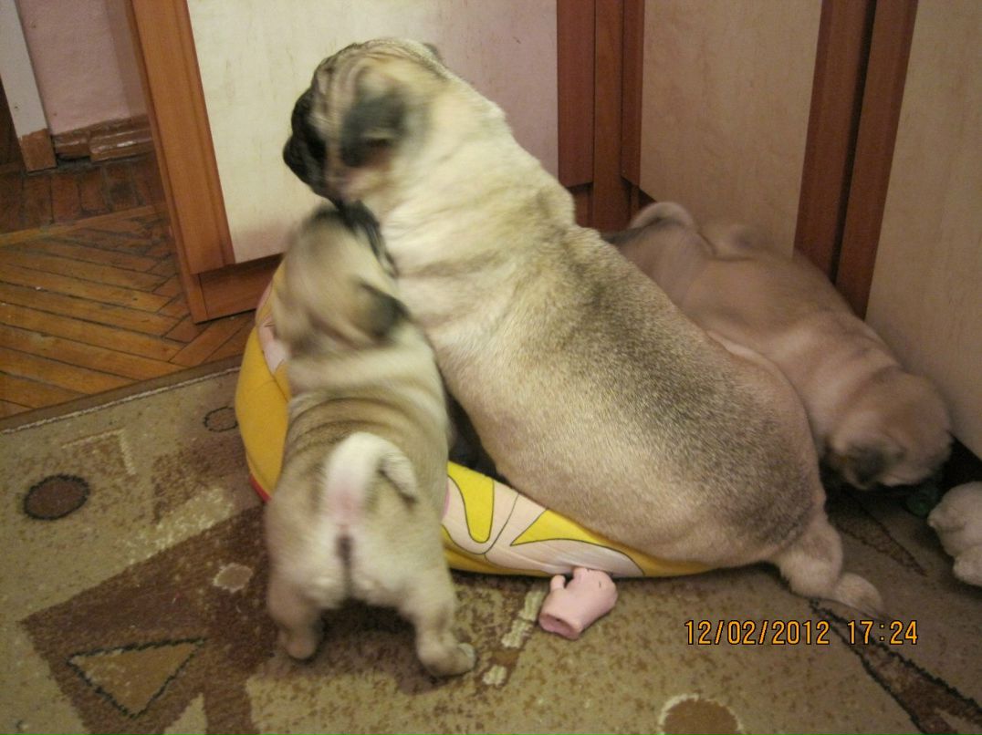 Марина Викентьева | Санкт-Петербург