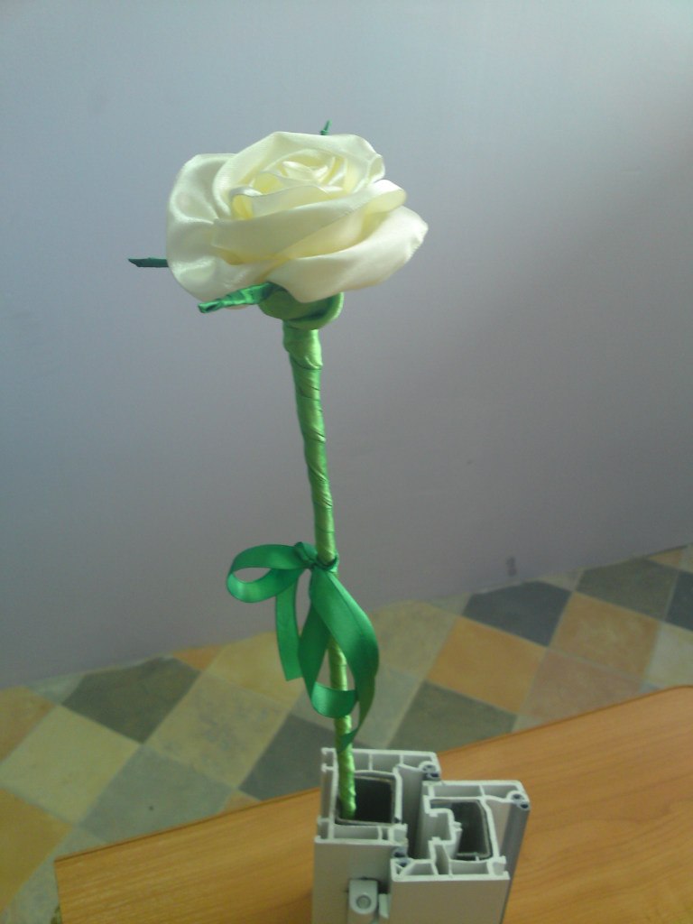 Нина Яковчиц | 