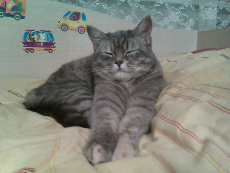 Андрей Нанактаев Андрей Н. | Владимир