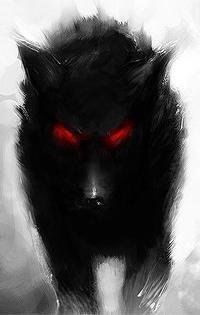 Дикий Волк | Санкт-Петербург