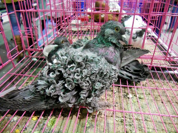 №40, Анастасия Гореликова, 34 года, Ярославль №40, Анастасия Гореликова, 34 года, Ярославль