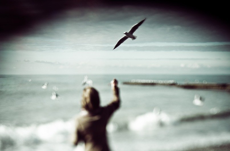 Елена Шецко | Киев