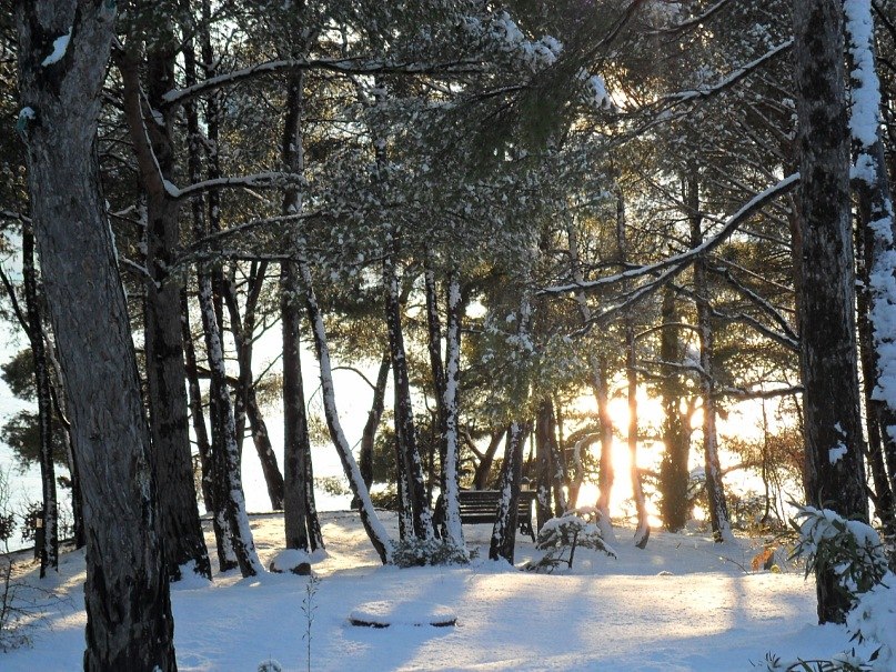 Игорь Чмиль | Мариуполь