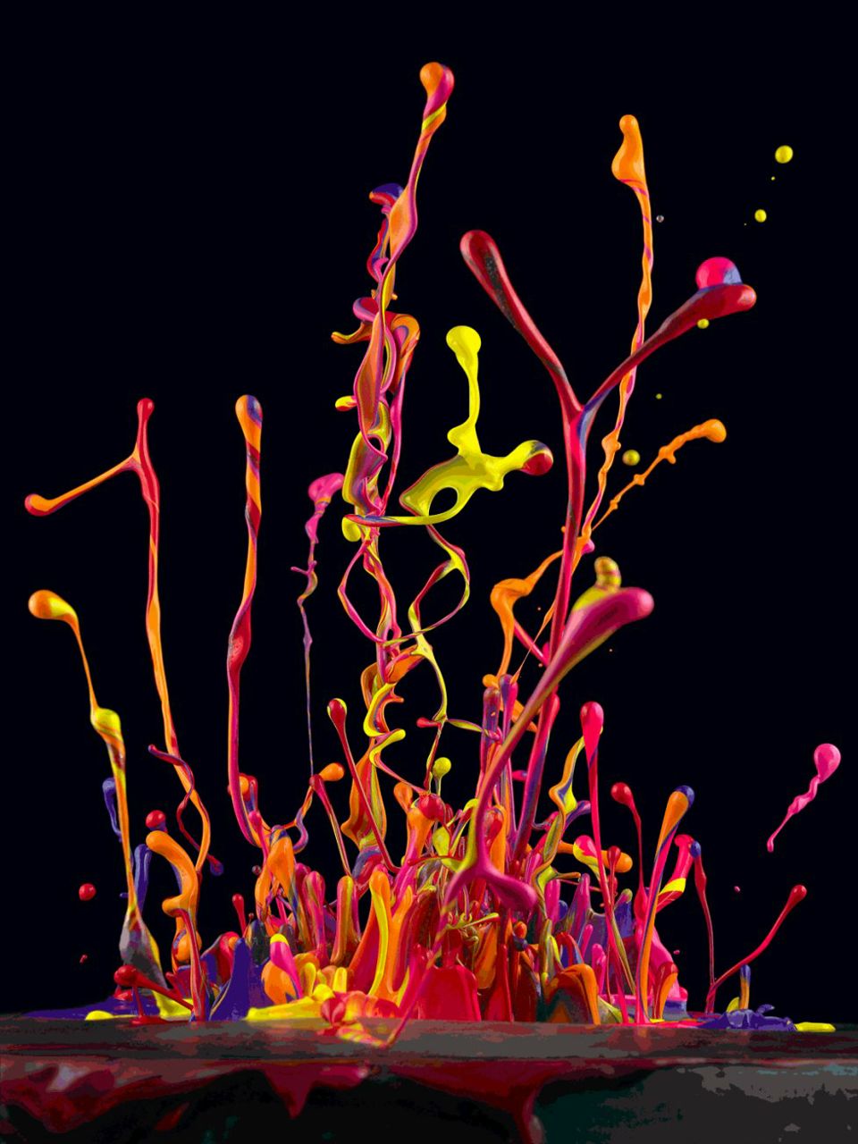 Тома Панченко | 