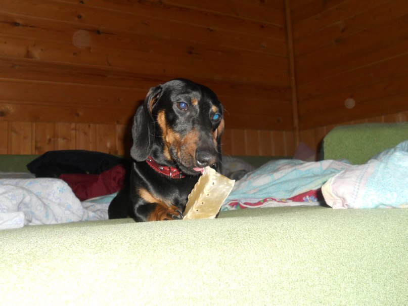 Софья Романовская | Санкт-Петербург