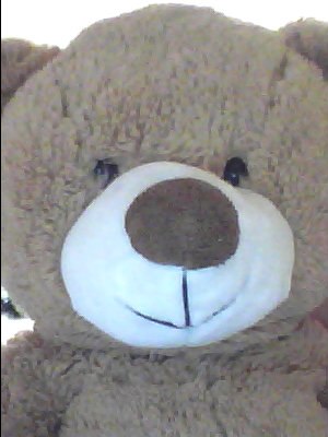 Ирина Панечко | Полтава