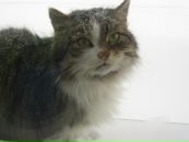 Фотография Гарри Коттер