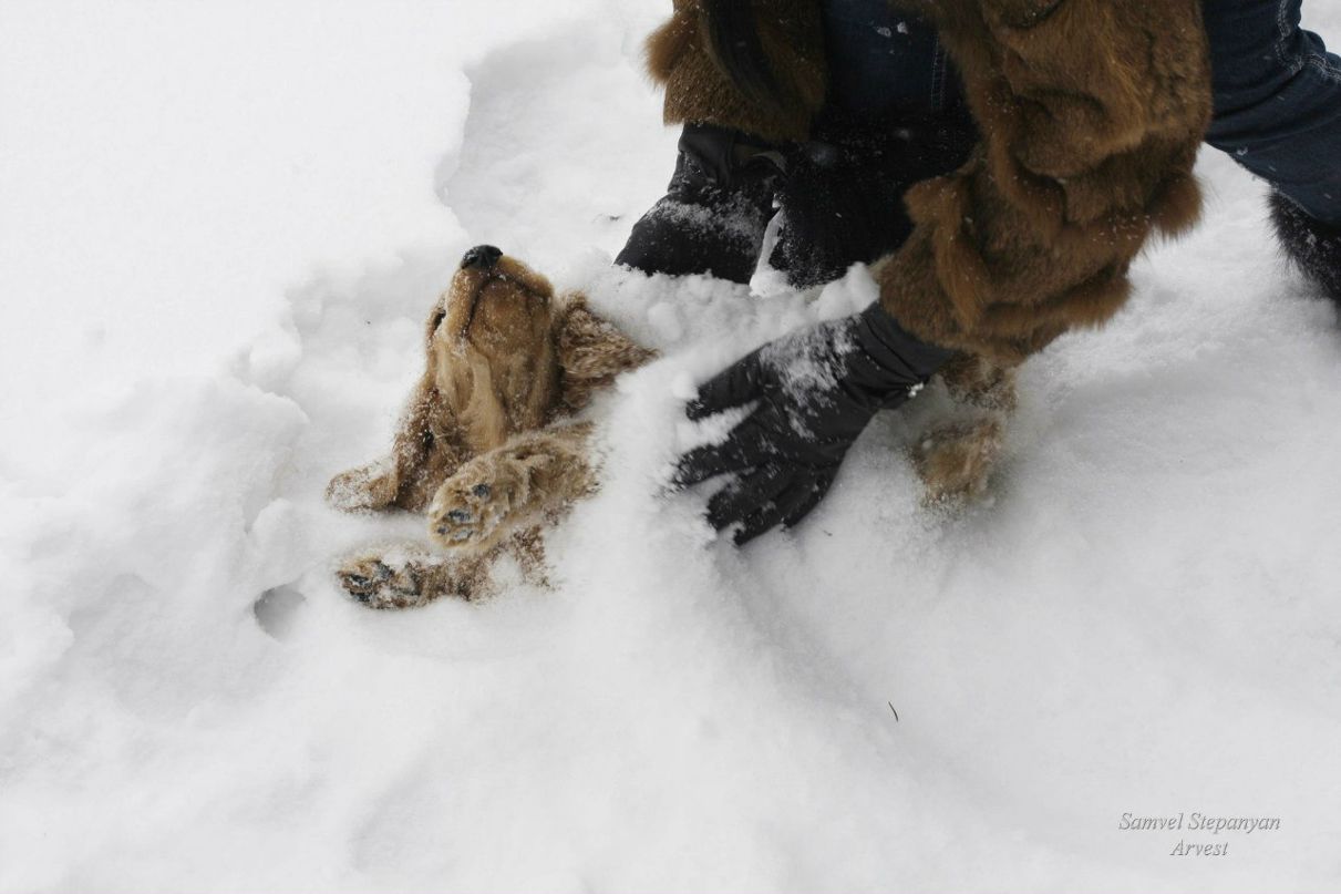 Татьяна Баранова | Киев