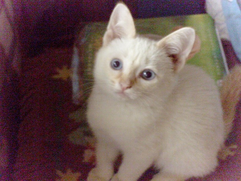 Юля Уткина | Иваново