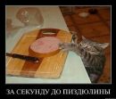 №34 Наташа Граубергер 11.02: профиль, фото, статус - ВКонтакте